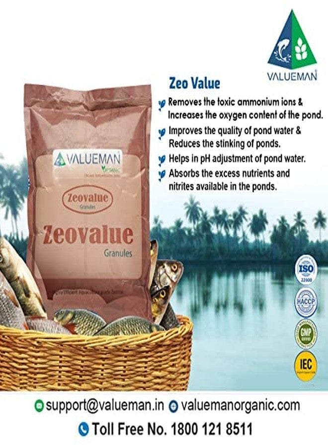 VALUEMAN فاليومان زيو فاليو - زيوليت عالي الكفاءة من الدرجة المستخدمة في تربية الأحياء المائية (حبيبات) - لون رمادي، 1 كجم - Image 2